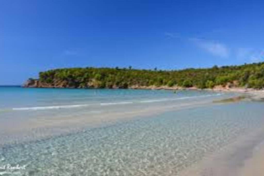 Studio Climatise Proche Port Et Plages La Londe-les-Maures Dış mekan fotoğraf